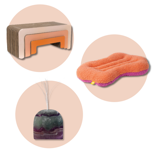 Load image into Gallery viewer, The Coral Bundle