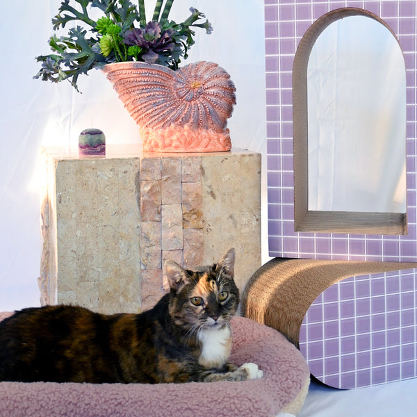 Load image into Gallery viewer, The Lilac Bundle