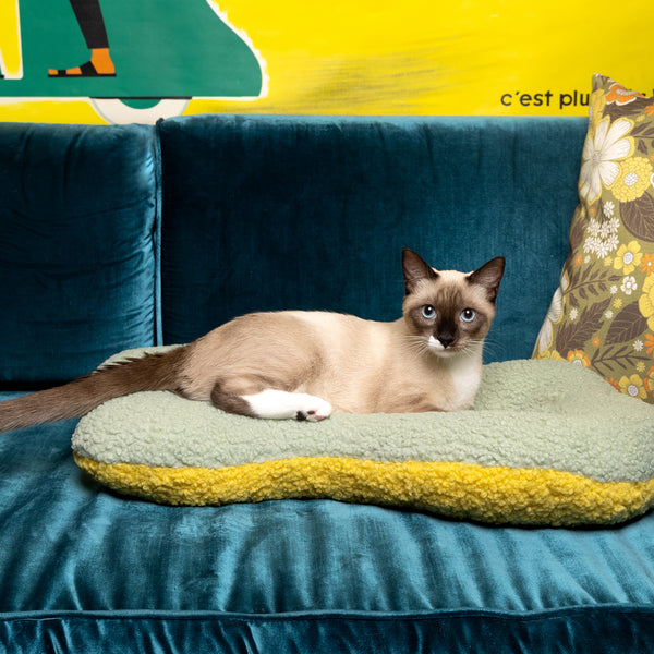 Load image into Gallery viewer, The Canyon Bed - Dandy Lion